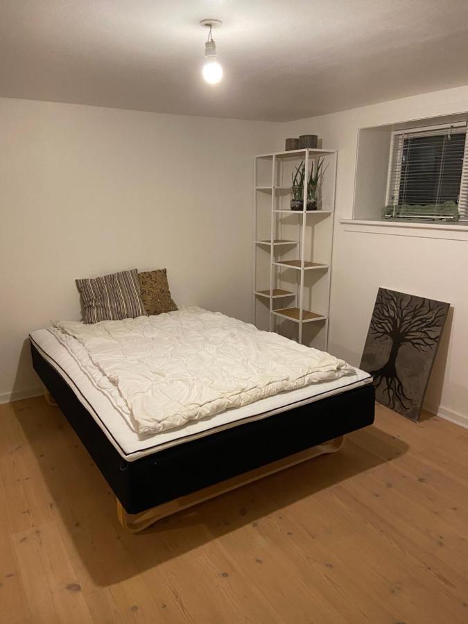Appartement Vaerelse Med Eget Kokken Og Bad à Esbjerg Extérieur photo